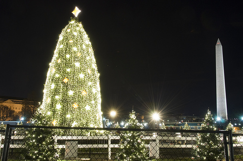 "2009 National Christmas Tree," CC Flickr photo credit: bigbirdz