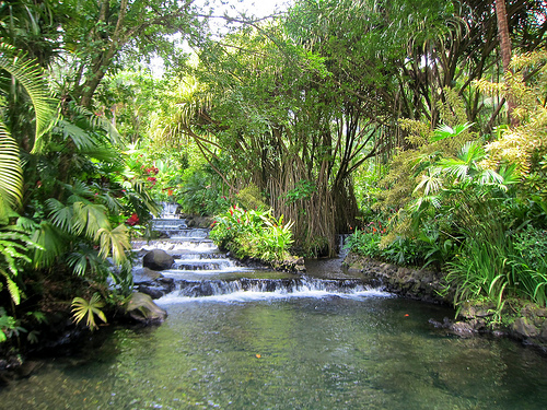 Unusual Spa Treatments to Indulge in Costa Rica, Flickr: Jennifer Morrow