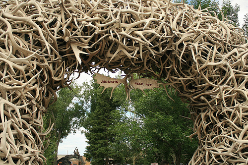 "Antler Arch," CC Flickr photo credit: DieselDemon