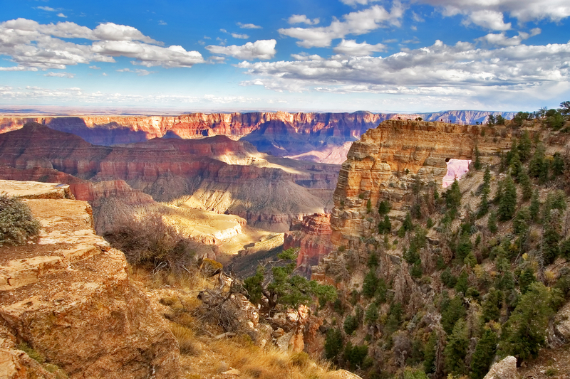 The Grand Canyon 