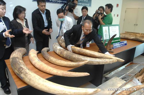 Elephant Tusks, Rhino Horns Seized at Bangkok's Suvarnabhumi Airport, IMG Cred: xinhuanet.com