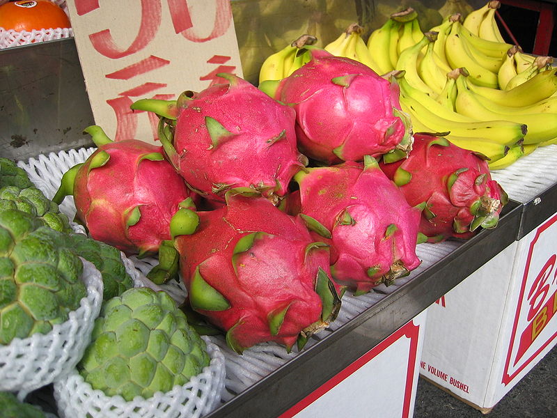 Dragon fruit (Image: Wikimedia)