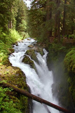 Five Fun Things for Families to do in Olympic National Park, IMG Cred: Sharlene Earnshaw