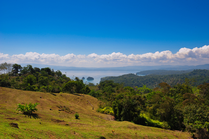 A "Green Honeymoon"? Why Costa Rica May Be a Zen Retreat for Newlyweds