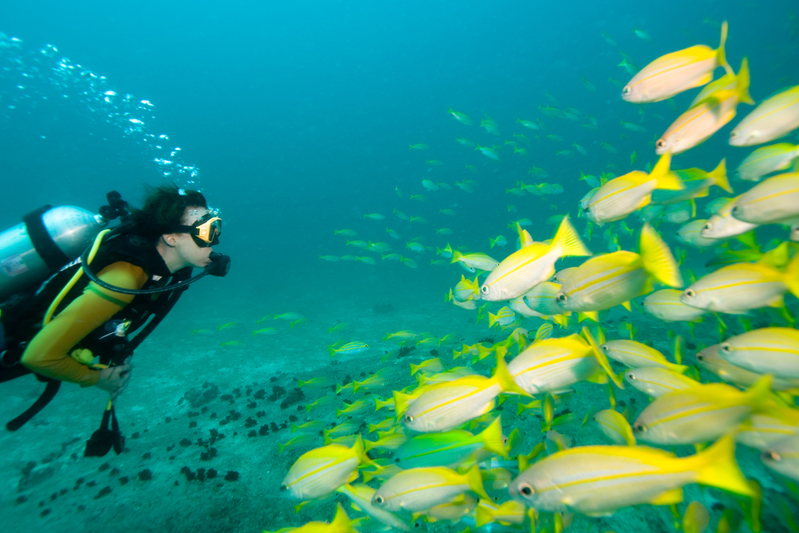 Five Reasons to Plan Your Next Scuba Vacation in Fort Lauderdale