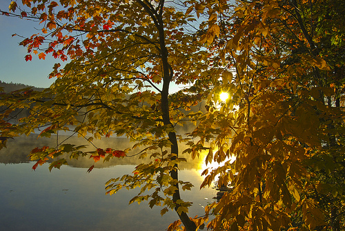 Fall Festivals in Vermont. Photo credit: yusuikao