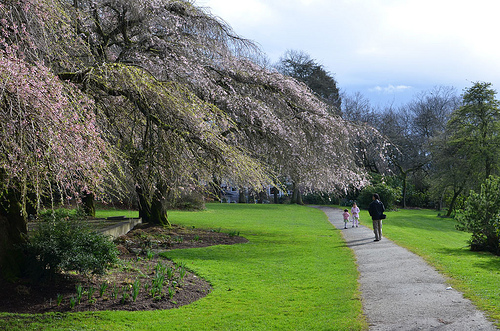 Family Travel: Park Hopping in Seattle, Flickr: dazzlingplacesdotcomseattle