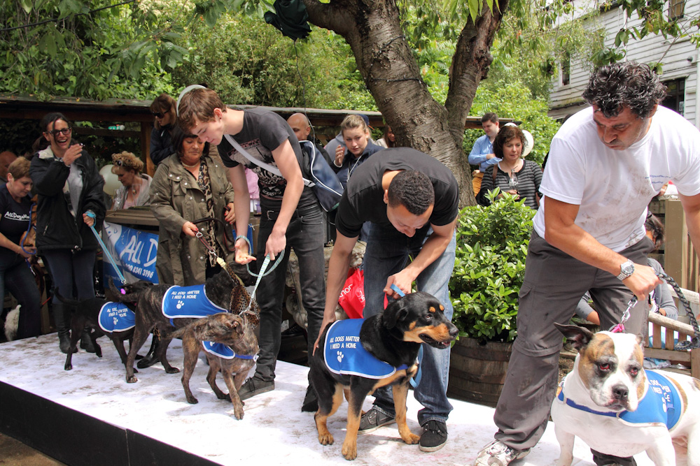 Pup Idol Dog Show at Hampstead Heath Pub, London, IMG Cred: The Spaniards Inn 