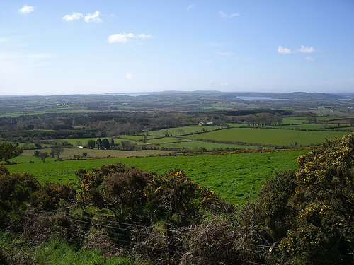 A Weekend in Wexford. Photo credit: Sean MacEntee