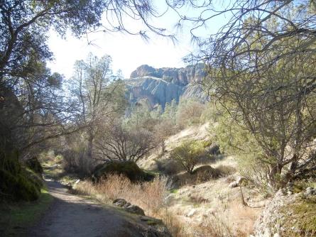 Family Travel: Exploring Great National Parks from San Francisco. Photo credit: National Park Service