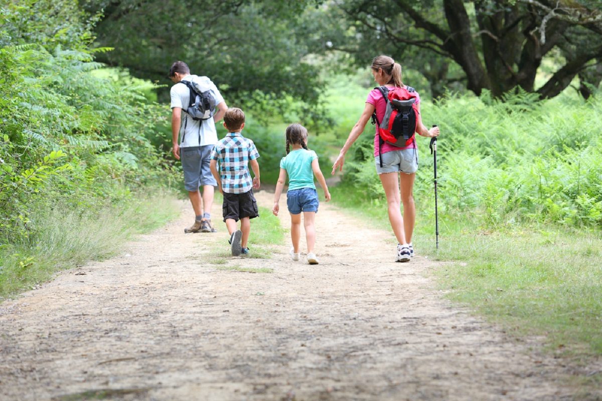 The Five Best Places for Hiking in Orlando