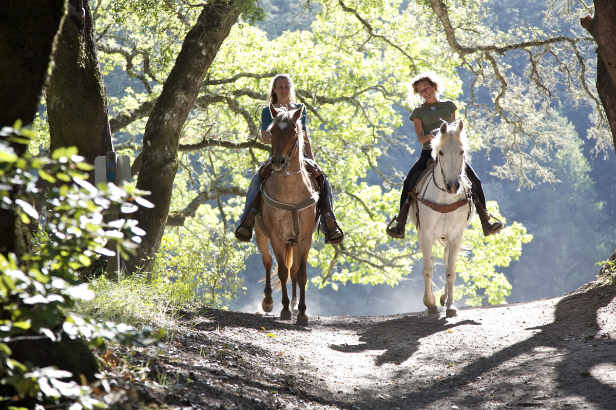 two people horseback riding