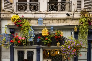 Shop, with colorful bird cages hanging in front