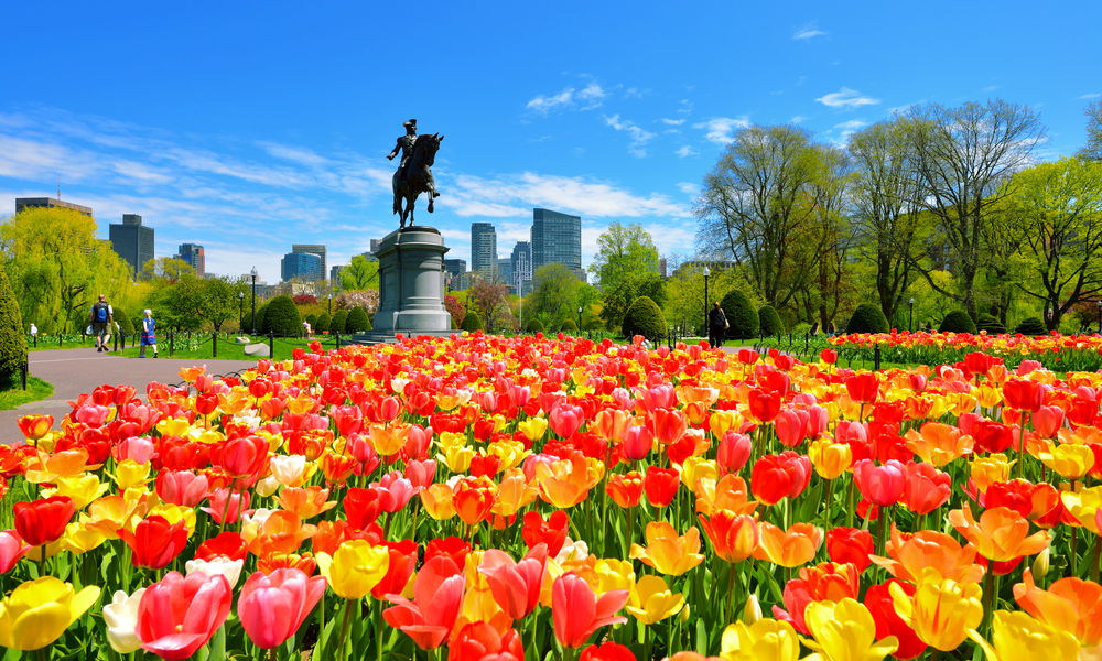 Boston Public Garden