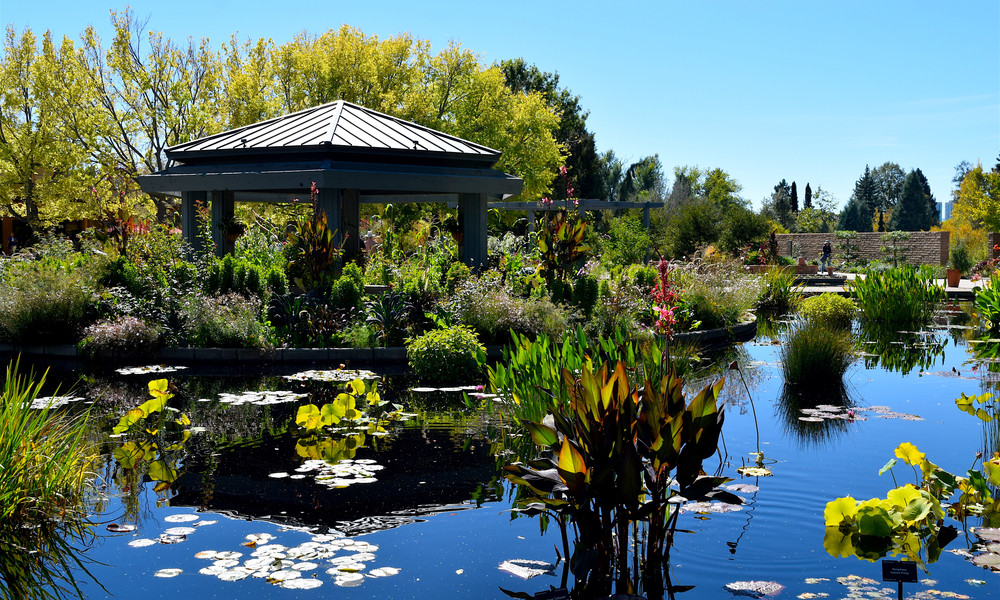 A Guide to the Romantic Side of Denver: Beautiful Scenic Botanic Gardens in Denver in the summer