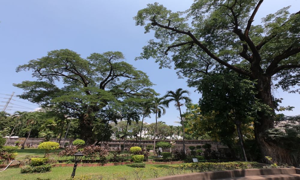 Best Places in Manila for Nature Lovers